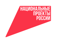 Национальные проекты России